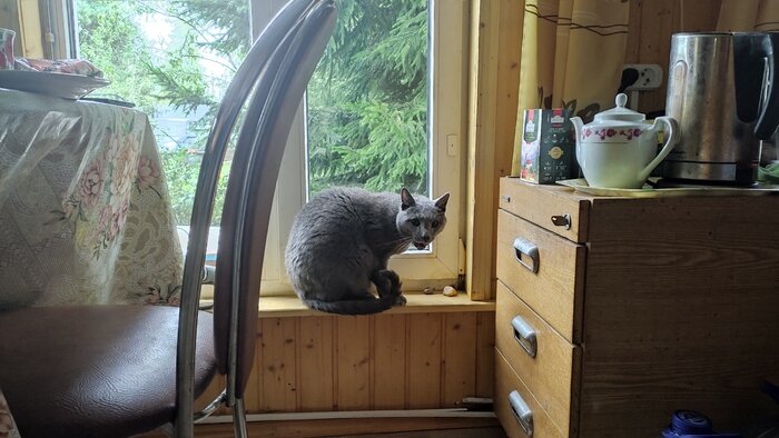 Листайте вправо, чтобы увидеть больше изображений