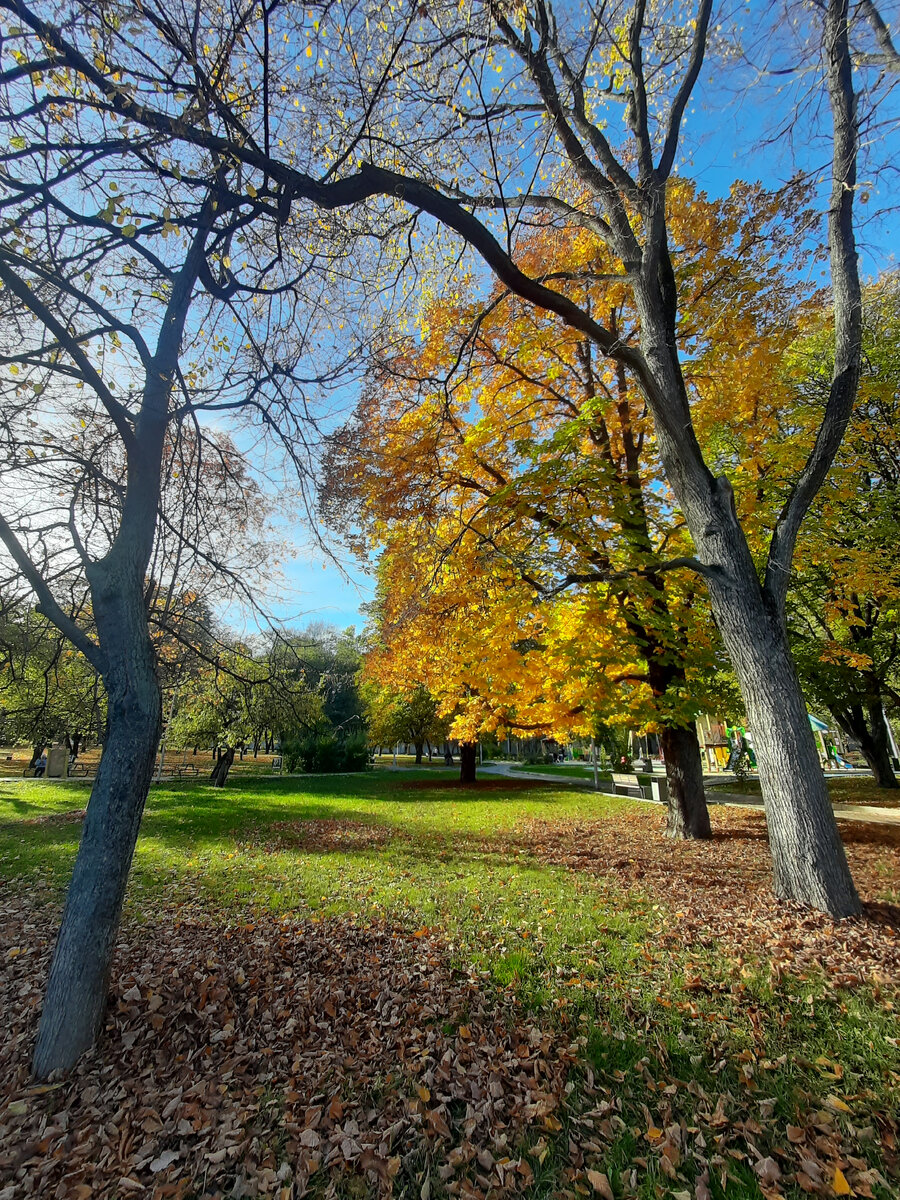 Немного осенних фото для иллюстрации статьи