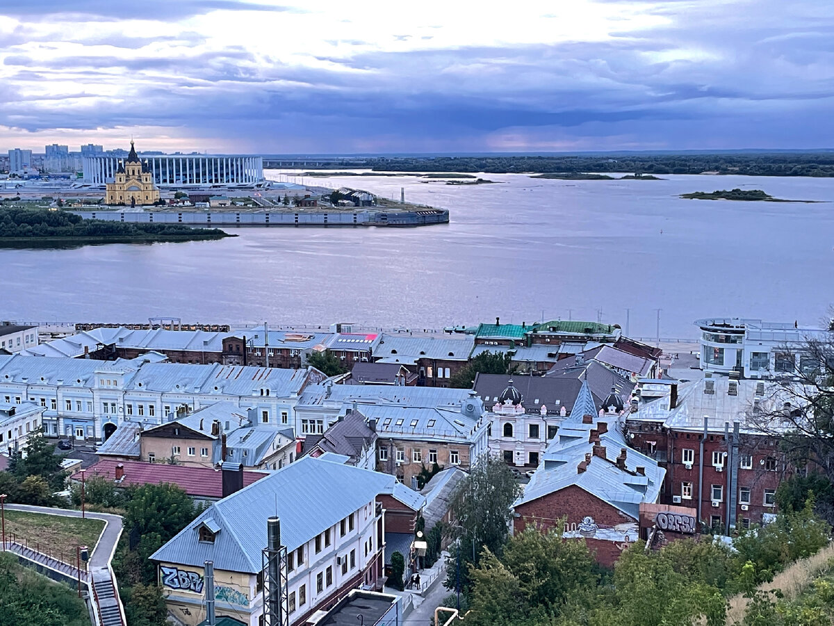 Наши виды в пределах городского центра. Всегда, как дозорные! 