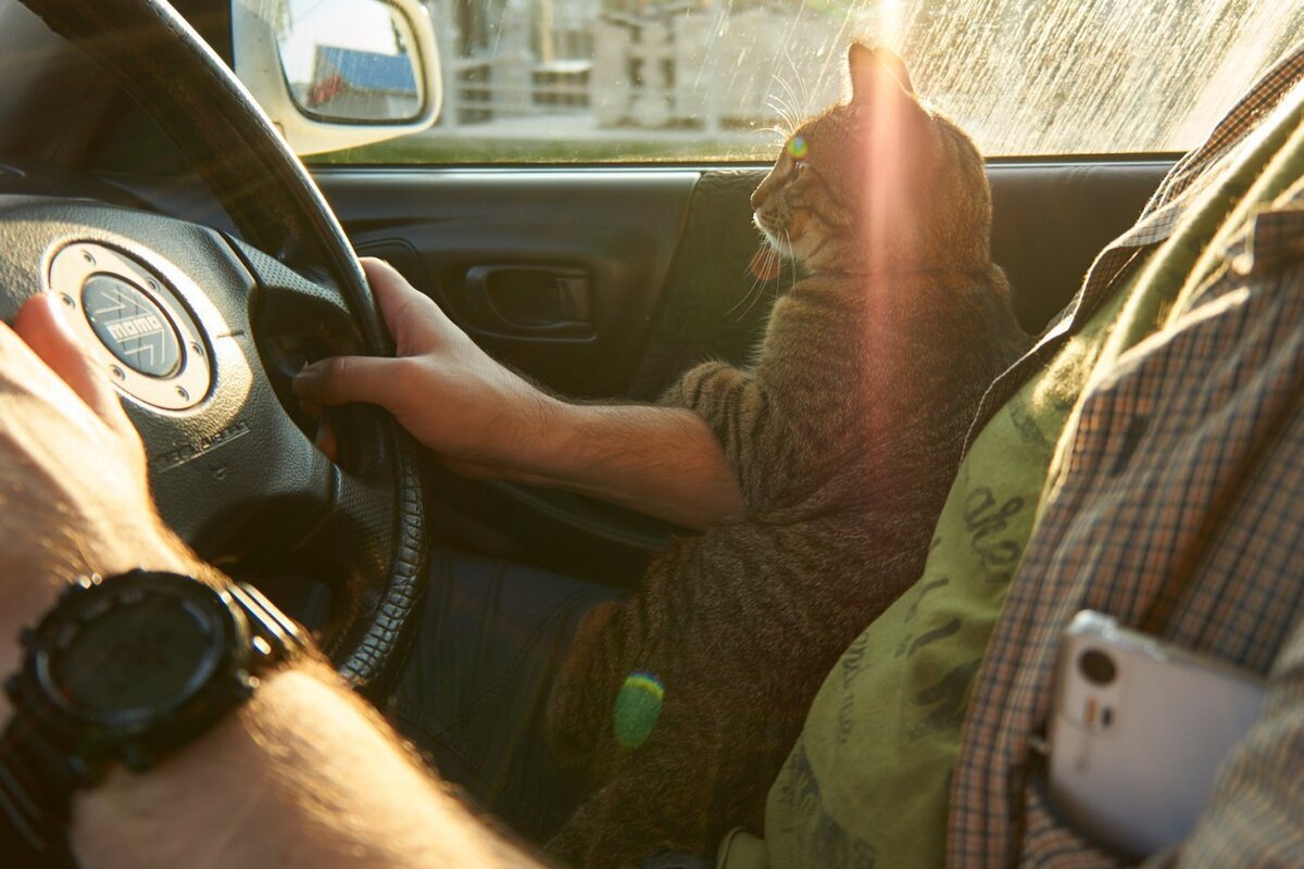 Где-то в Краснодаре.