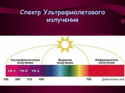 Восприятие цвета человеком