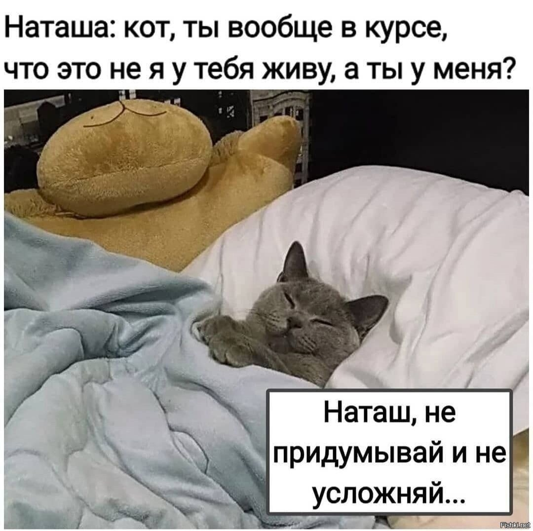 Пин на доске юмор