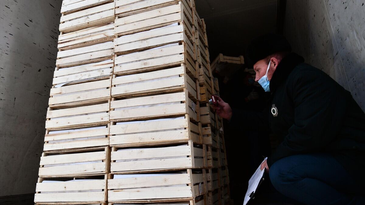    Сотрудник погранично-таможенной службы проводит досмотр ящиков с фруктами на Октябрьском таможенном посту в Екатеринбурге© РИА Новости / Павел Лисицын