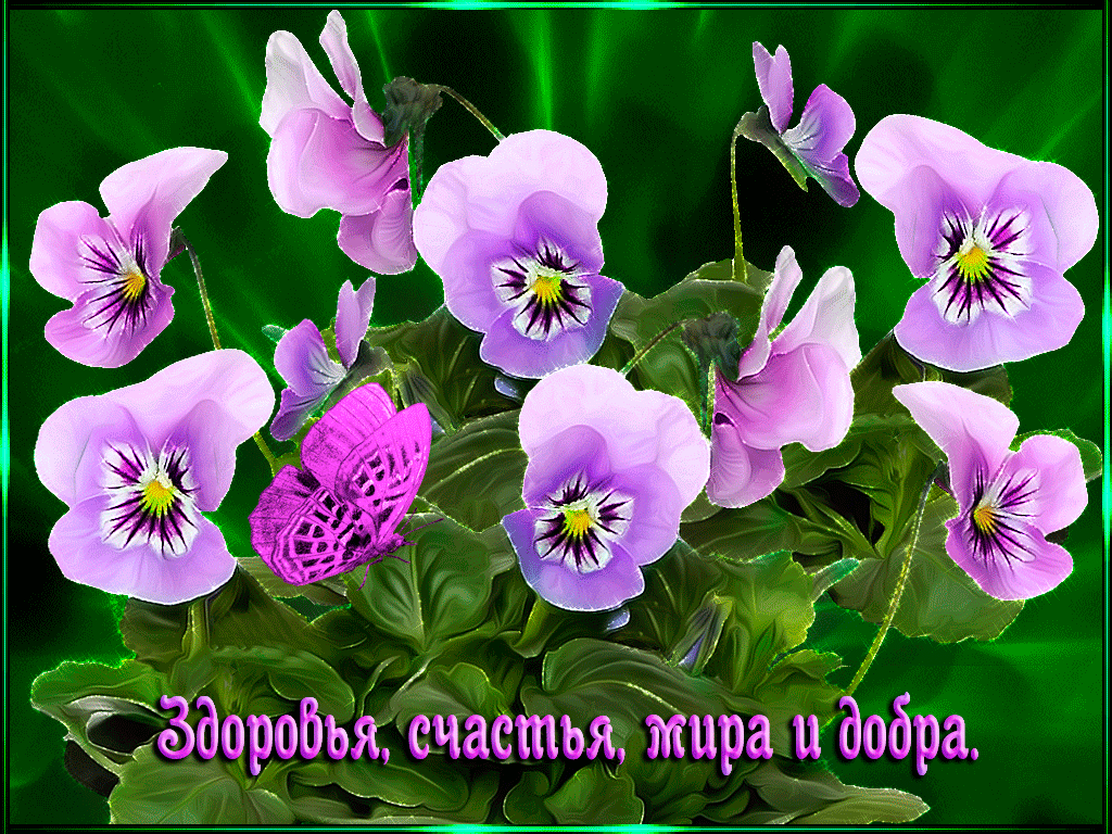 Открытка взята из открытых источников интернета