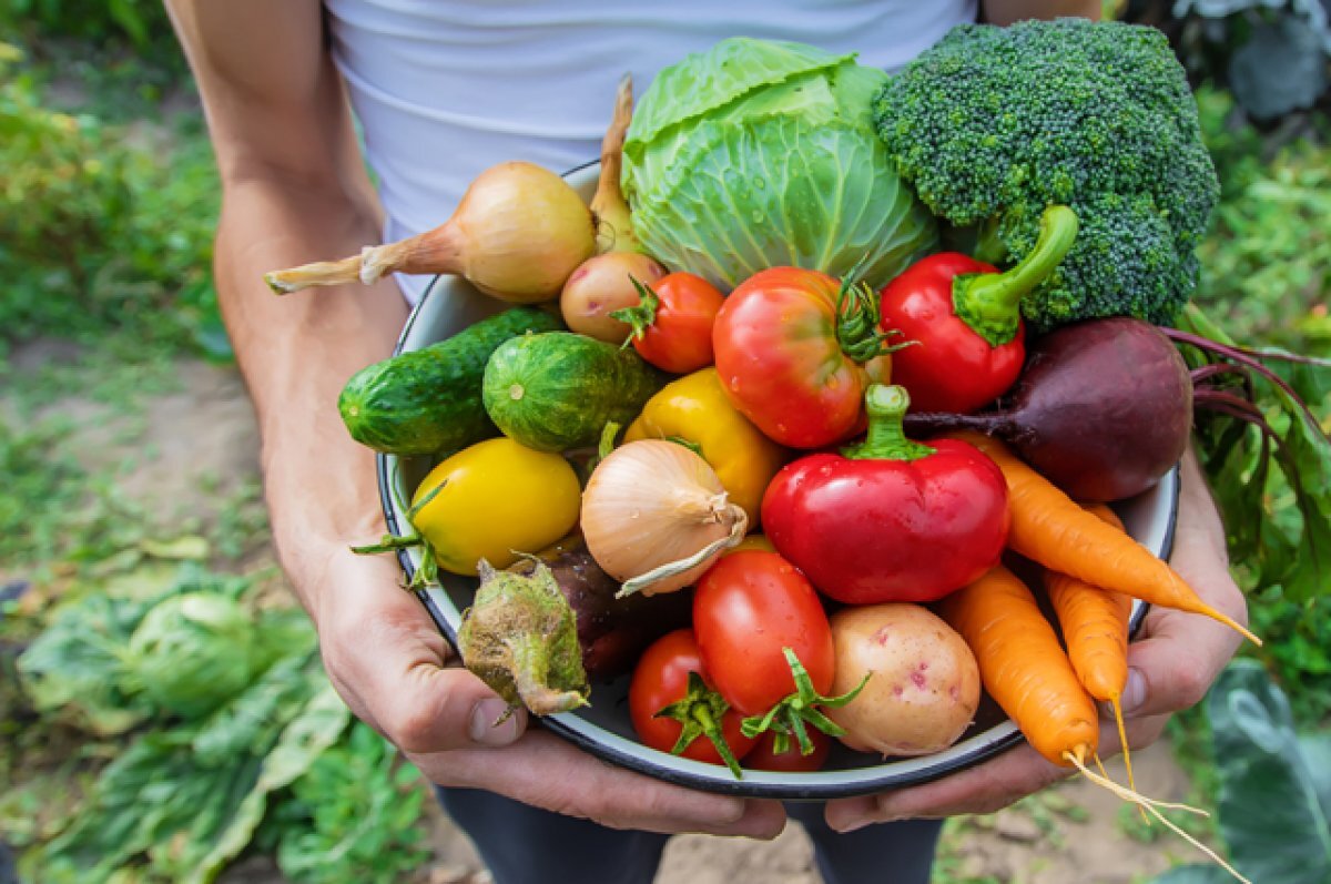    Агрономы назвали лучшие семена для посева в следующем году