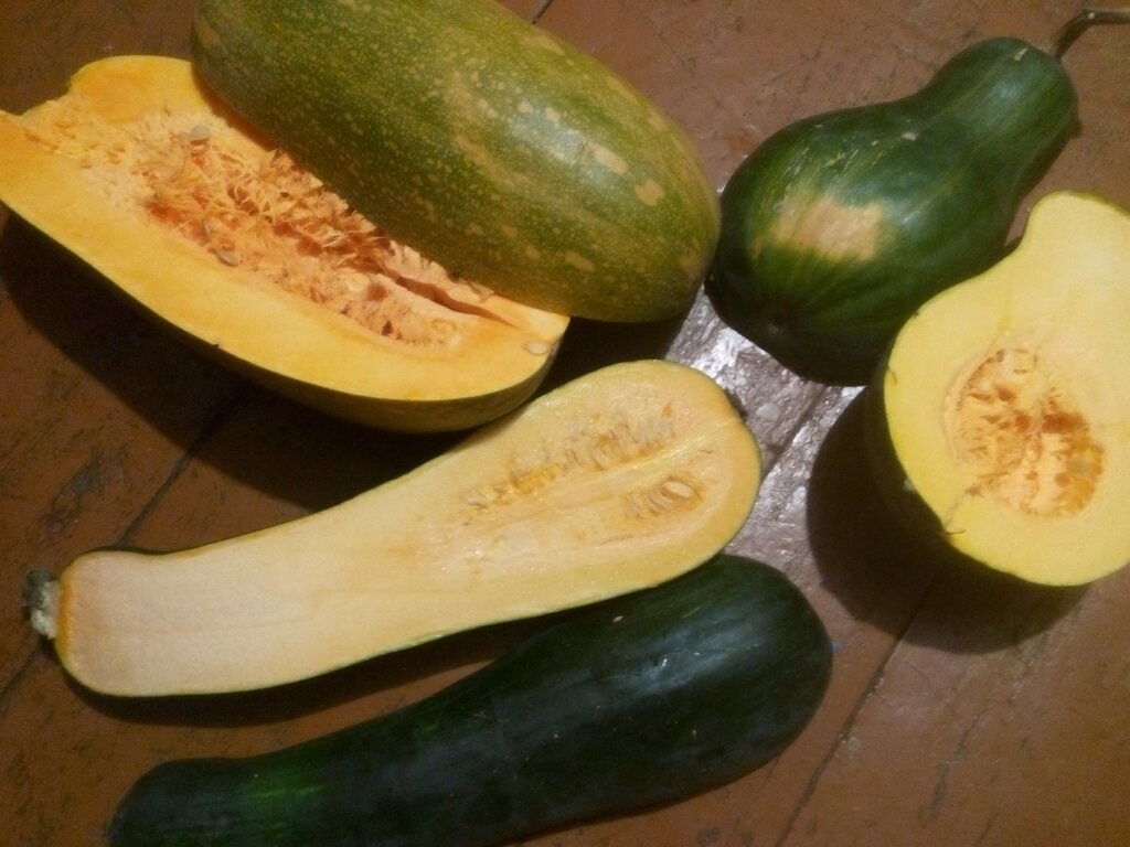 Тыква Лунга ди Наполи