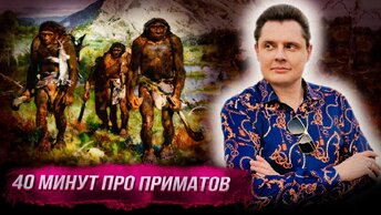 Понасенков 40 минут описывает разных увиденных приматов