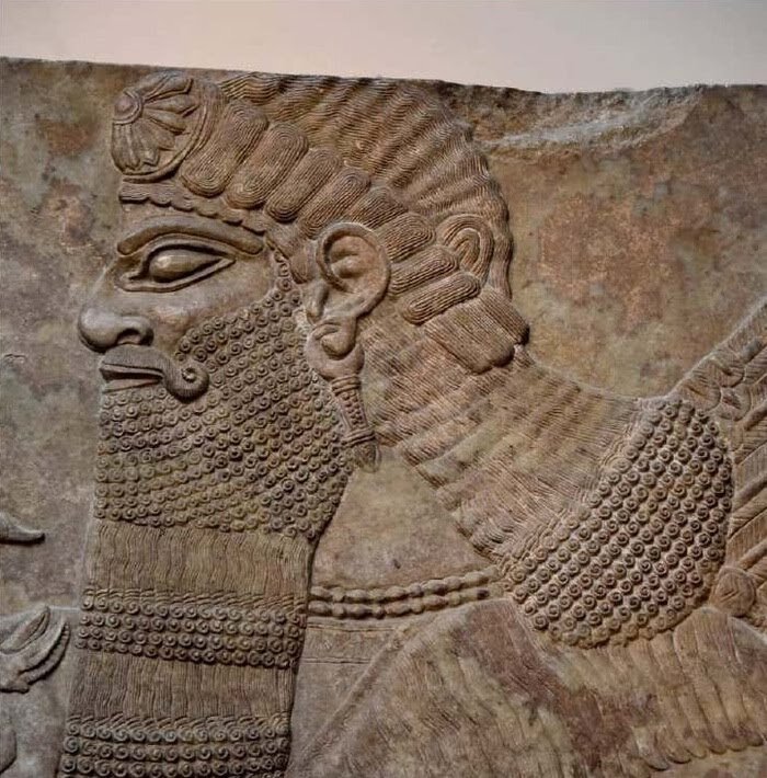 Фото взято из открытого источника и принадлежит их авторам.