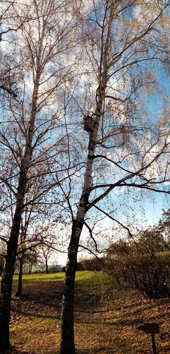 Пушкинский парк  в селе Большое Болдино Нижегородской области