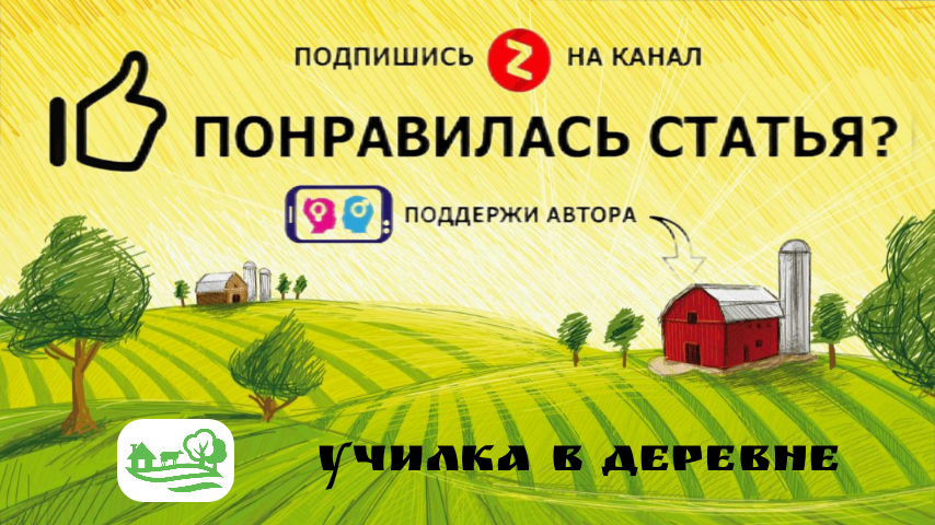 #образование #школа 