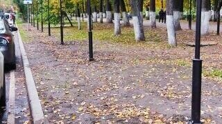     В результате проведения ремонтных работ в Ярославле пропала часть чугунного ограждения. Ограда стояла здесь десятки лет, примерно с середины XX века. Однако в середине лета решетки оказались сняты, столбы выкорчеваны и увезены в неизвестном направлении.
