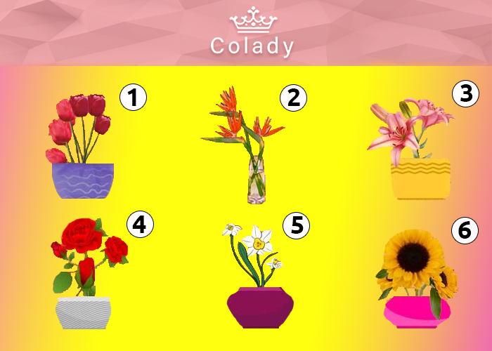 Иллюстрация Colady от Кирилла Даниленко