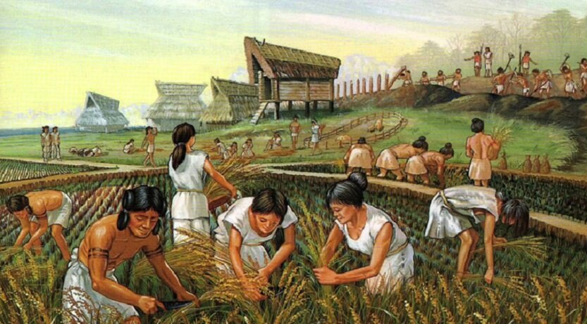 Основными сельхозкультурами Древнего Китая были пшеница и гаолян