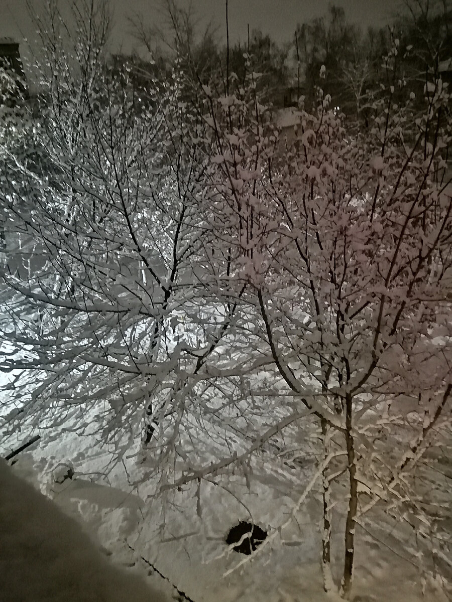 Вечер сказочный вчера