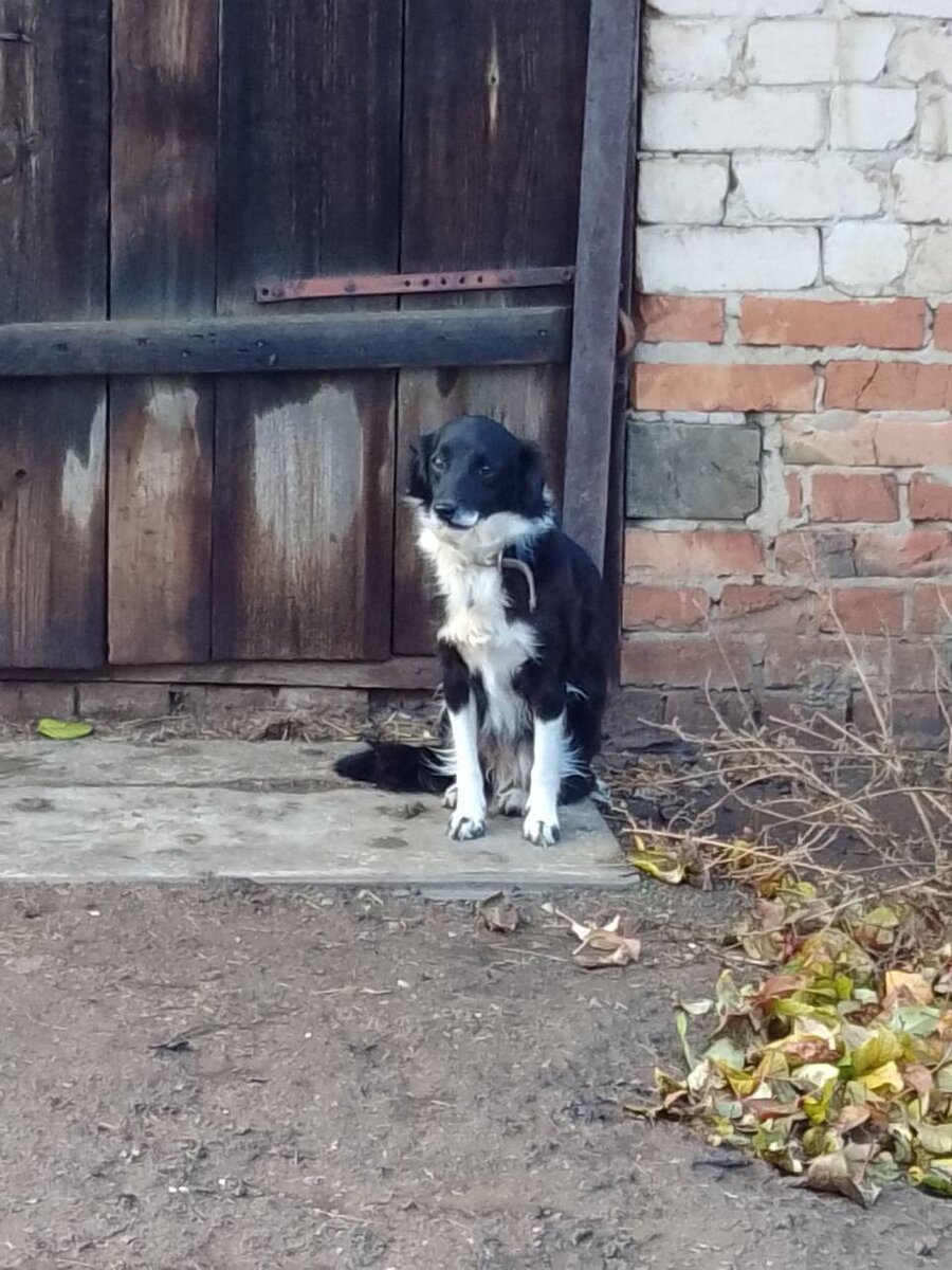 Вот такая скромная милашка