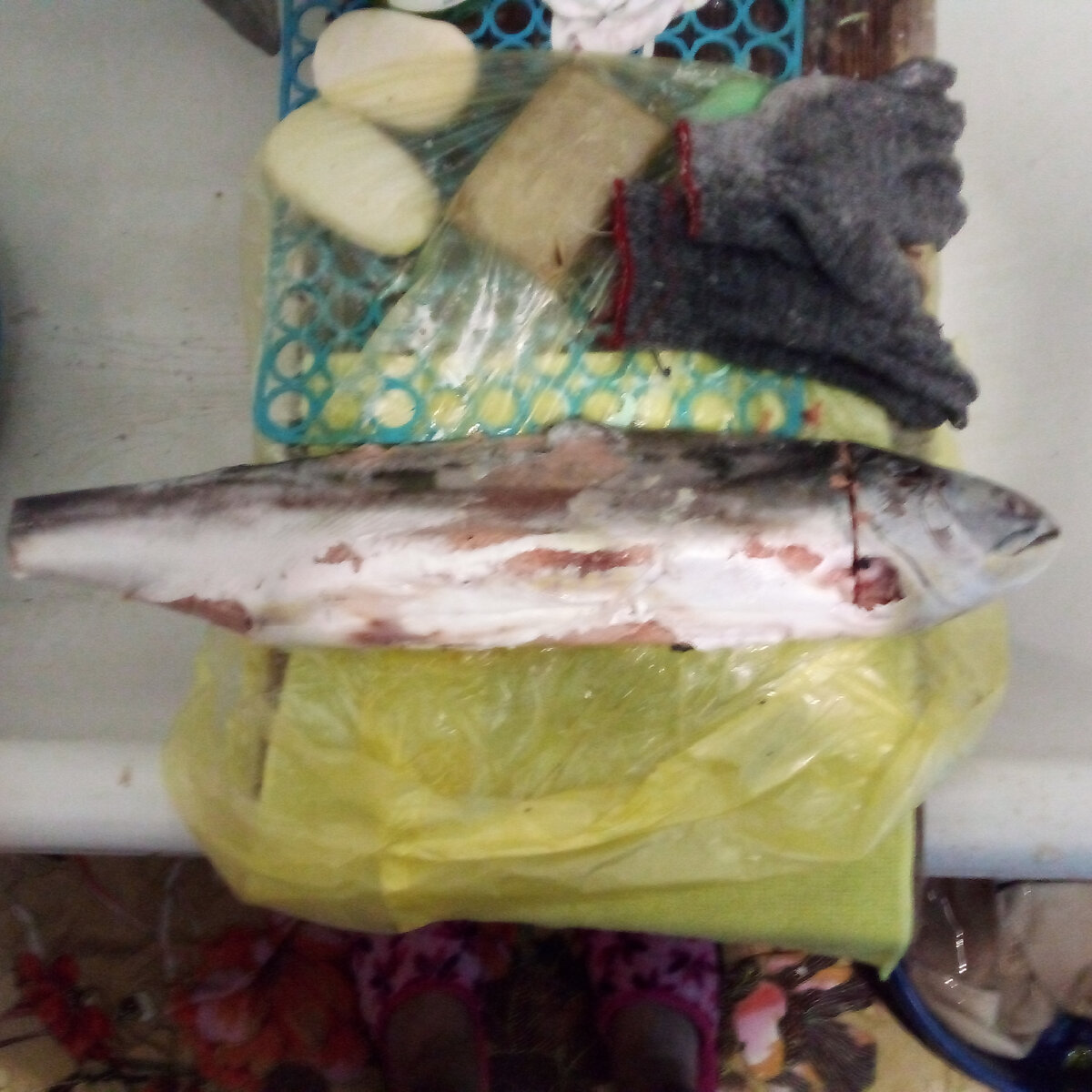 Фото автора статьи, Вес рыбы в районе 2 кг. 