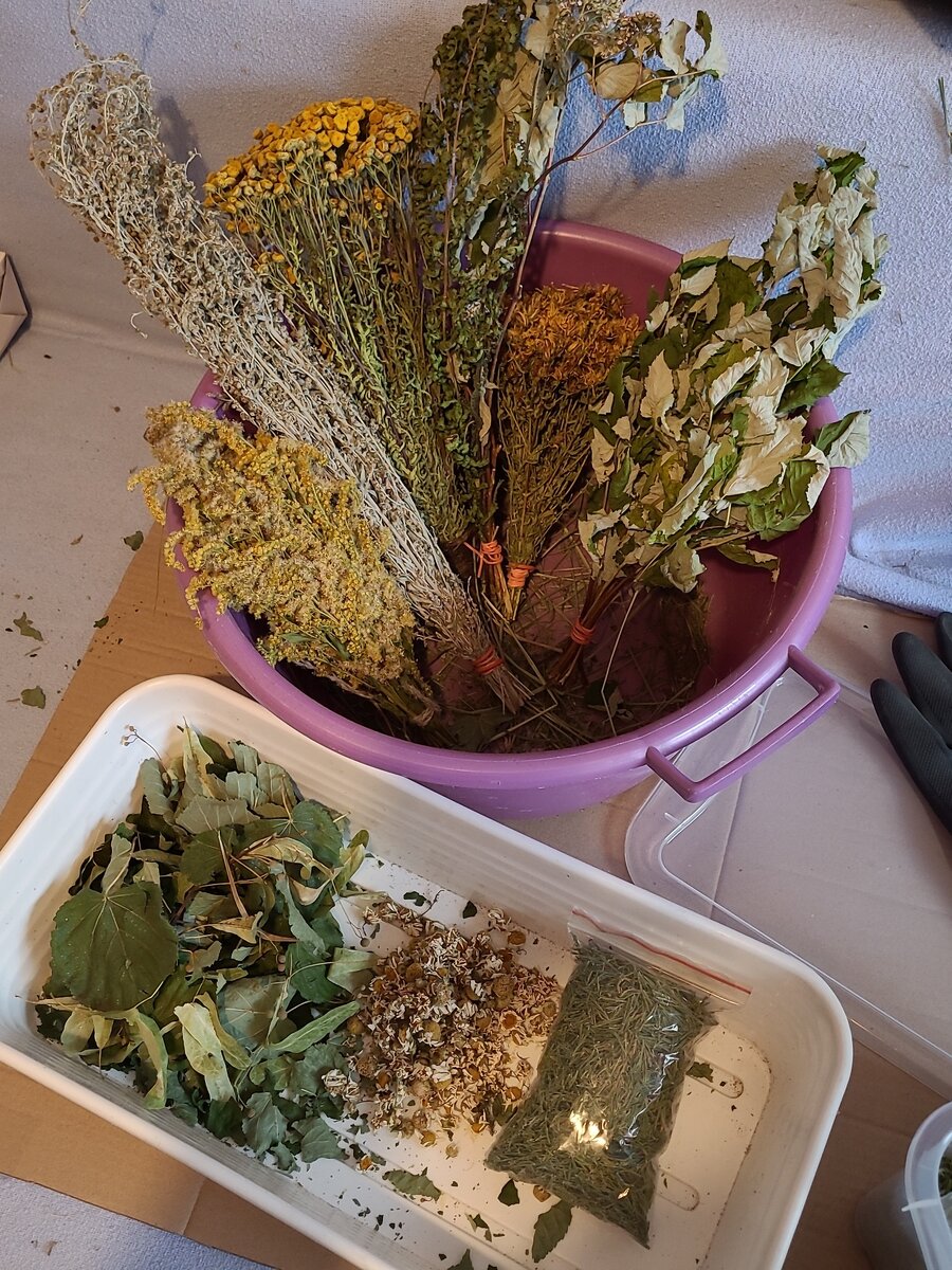 Люблю шебуршать в травах