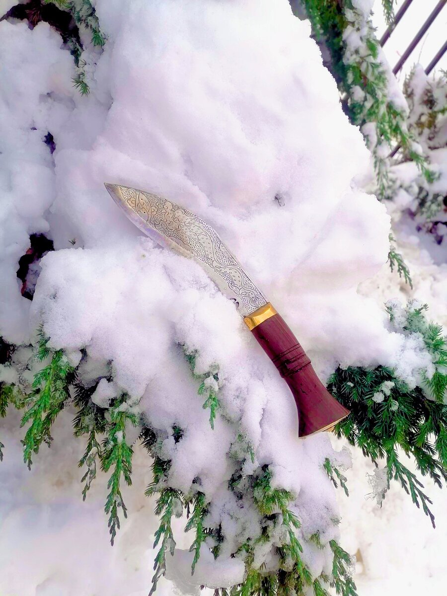 Фото принадлежит автору канала