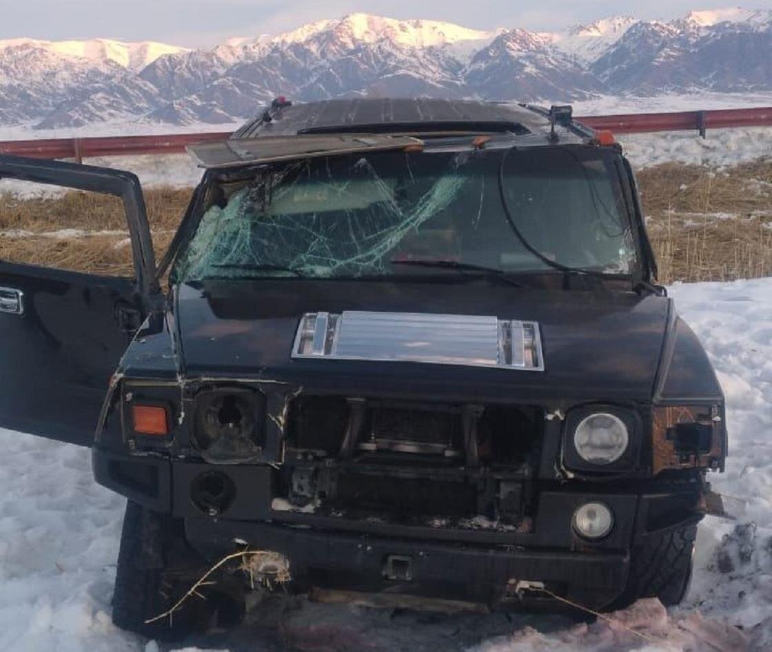    ДТП в Жетысуской области:Telegram/POLICE_of_KZ