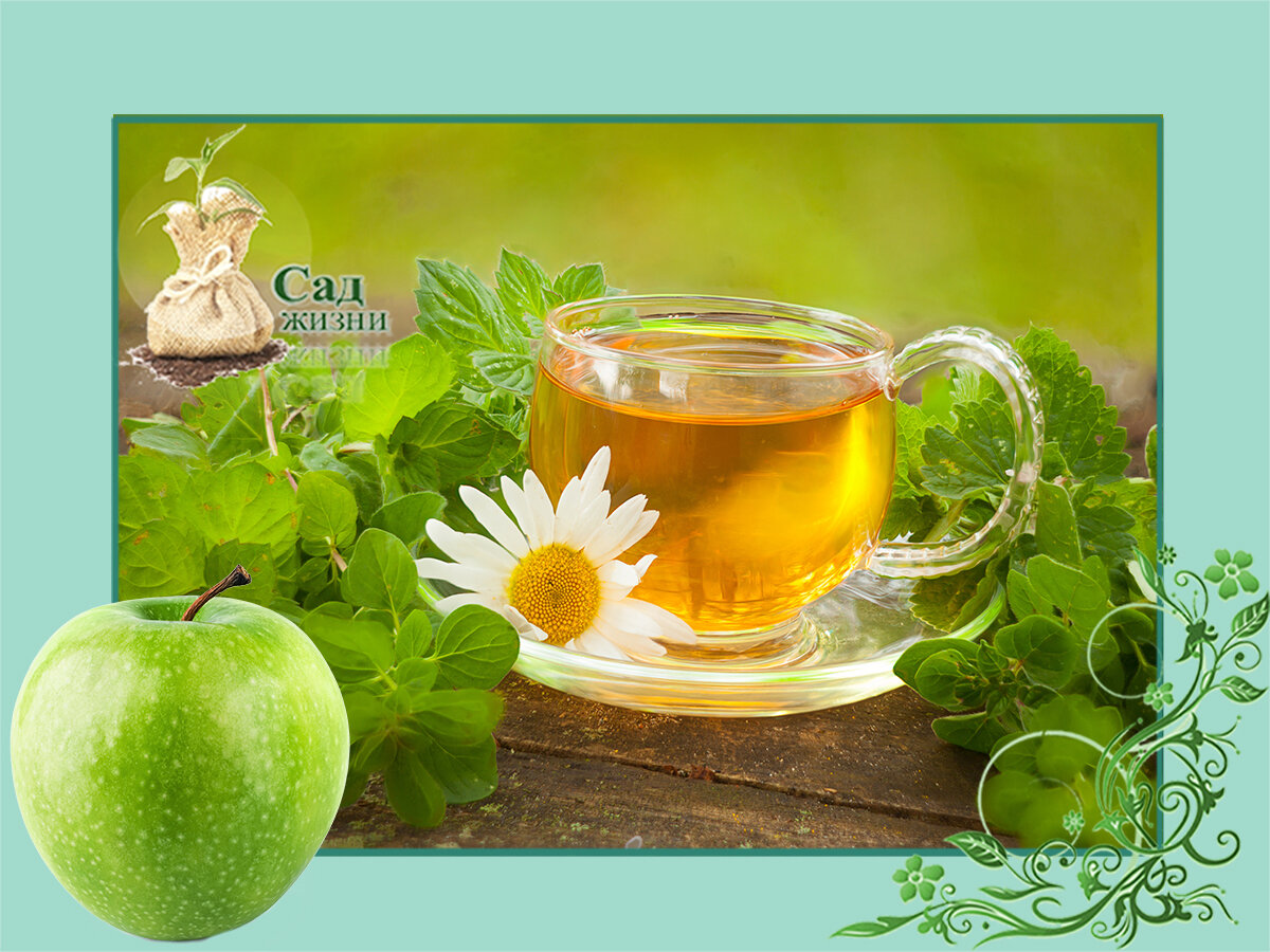 5 пряных трав, которые легко вырастить из семян