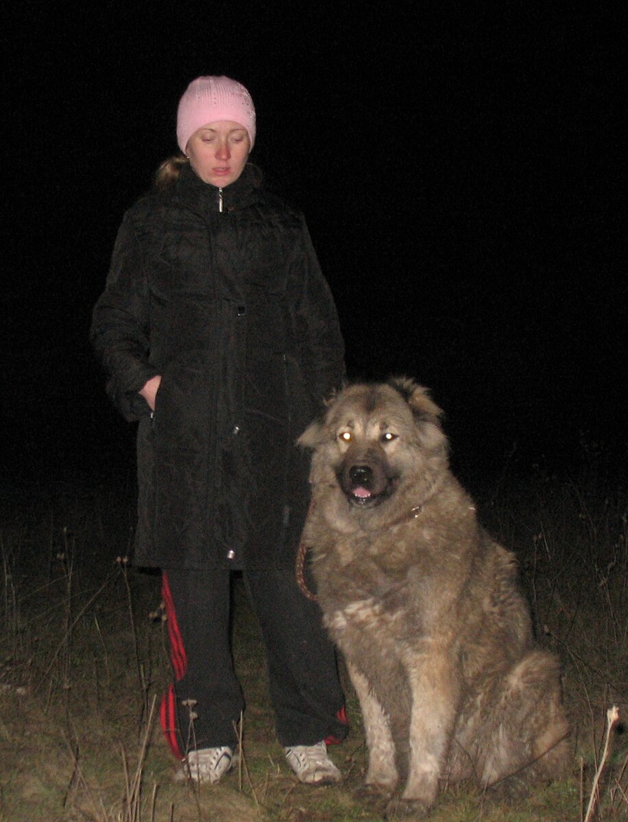 Я  и  моя КО Вирма-Даури