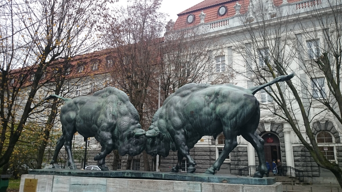 Калининград. Фото автора.