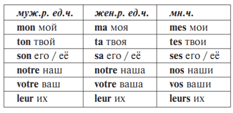Притяжательные местоимения французского языка