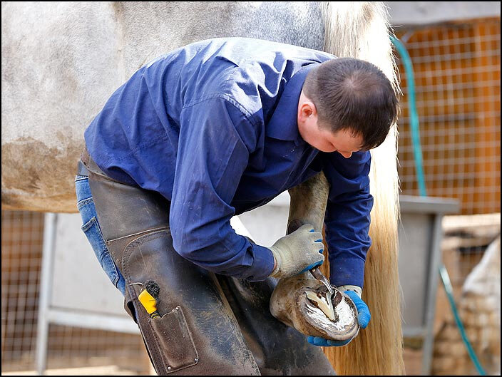 фото: Анна Мазина 