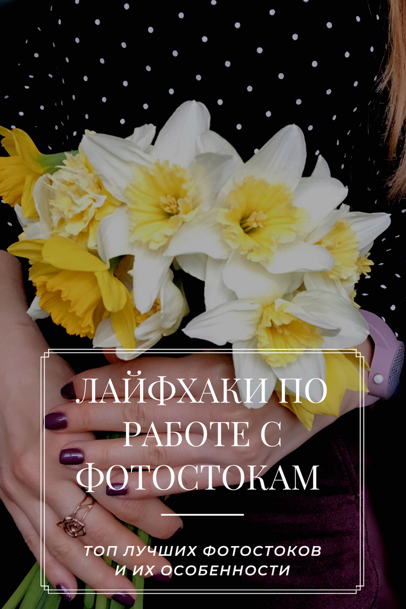 Топ лучших фотостоков