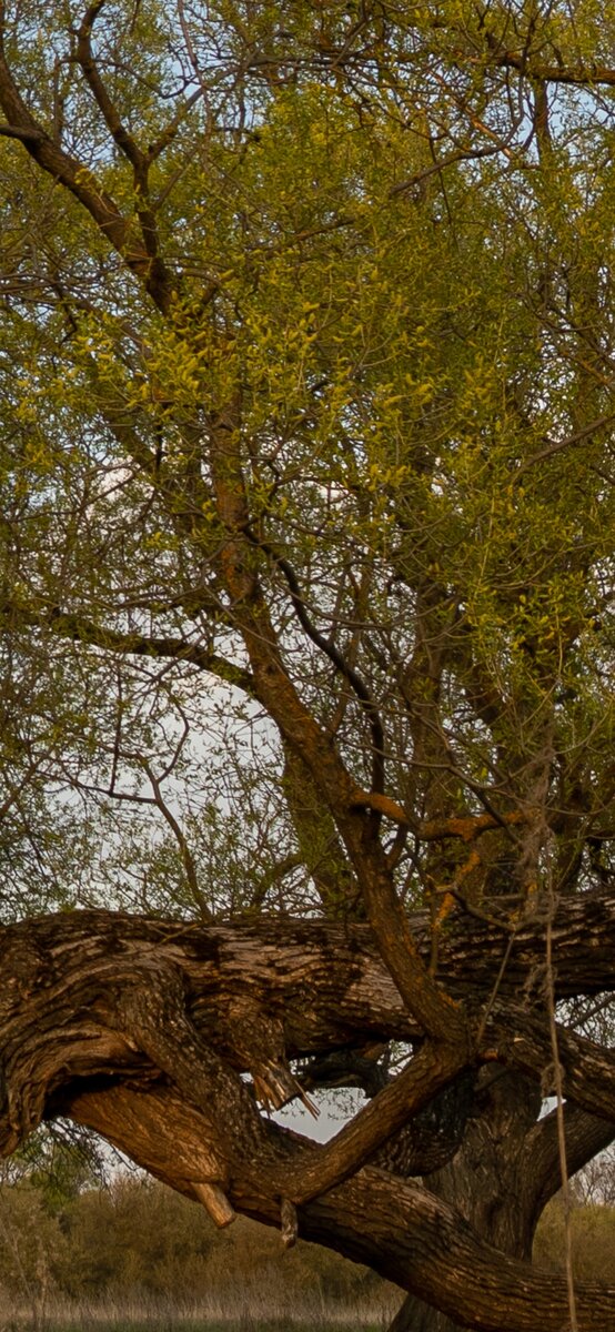 Детализация. 