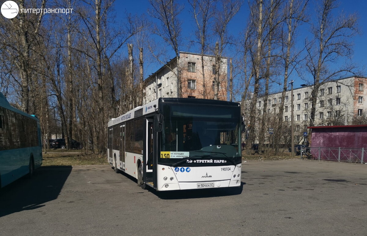 В СПб появились 3 автобуса на принципиально новом топливе. Что за зверь? |  Питертранспорт | Дзен