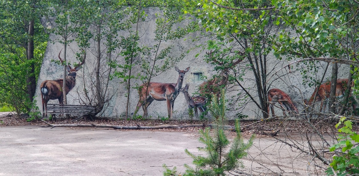 Чернобыльский радиационно-экологический биосферный заповедник