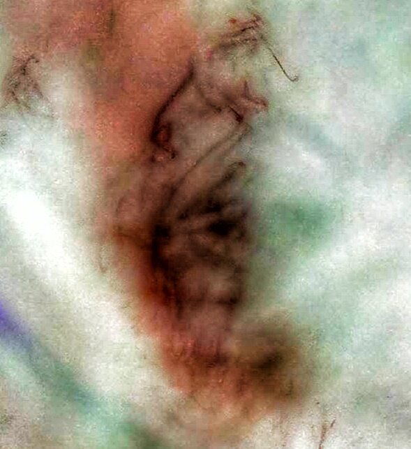 Кто что увидит?