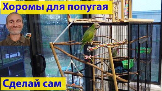 Super Birds Набор 