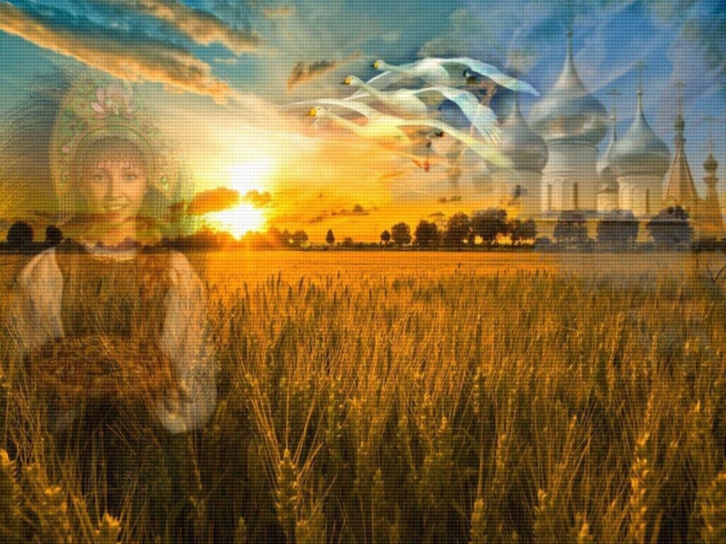 Картинка из сети