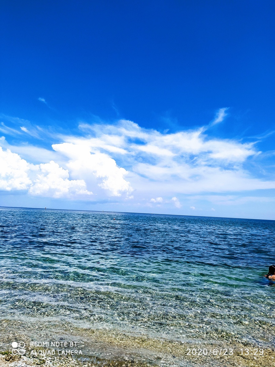 Фото собственное