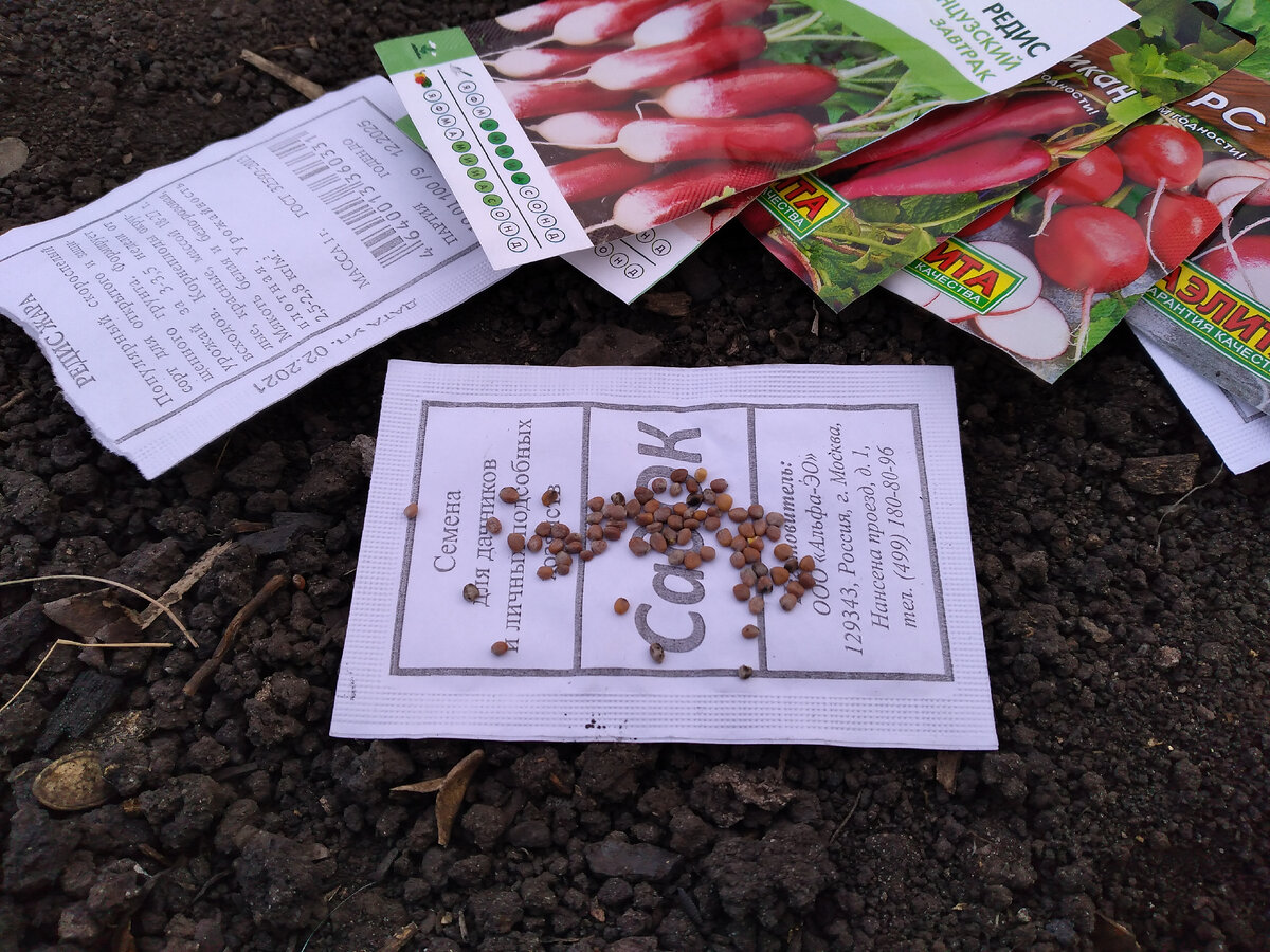 Всего 50 шт.(примерно). На первый взгляд, семена невысокого качества.