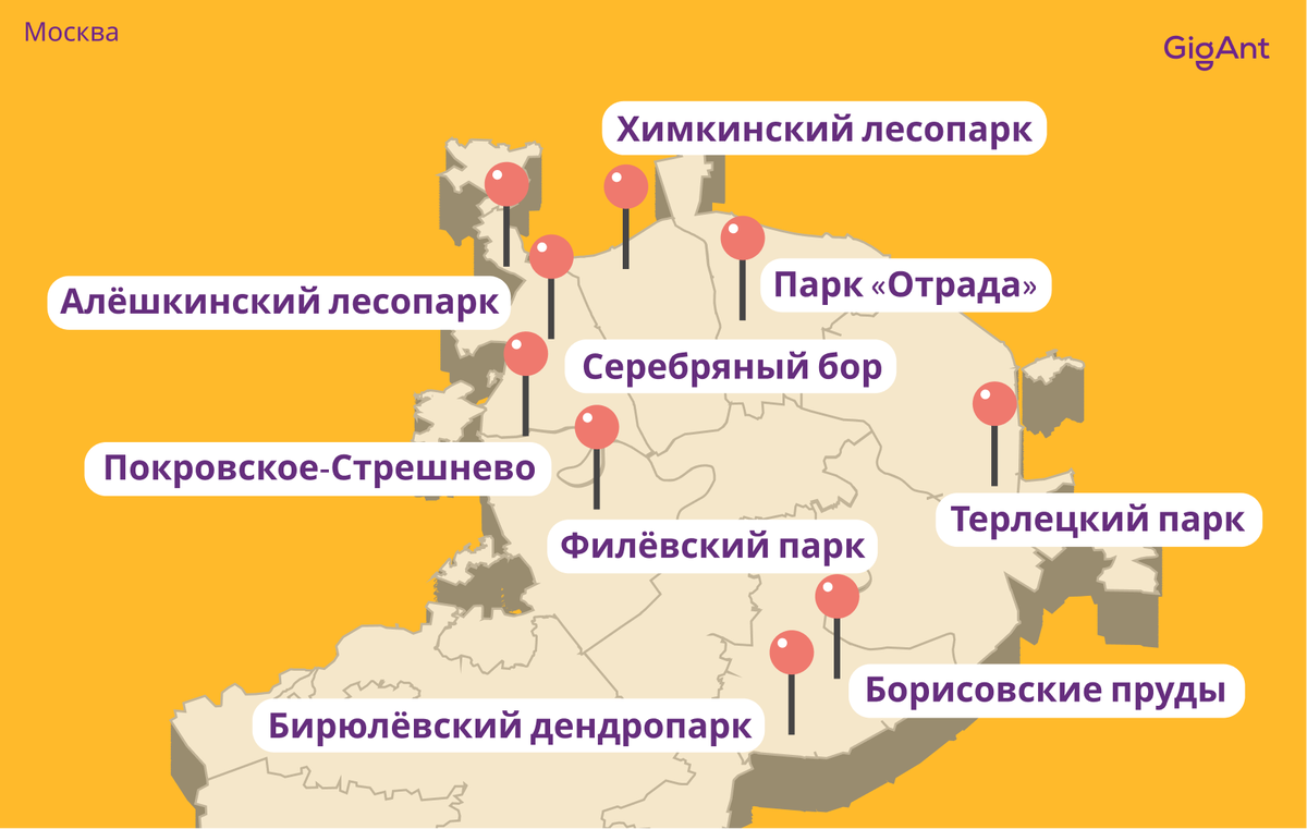 Где можно жарить шашлыки в спб карта