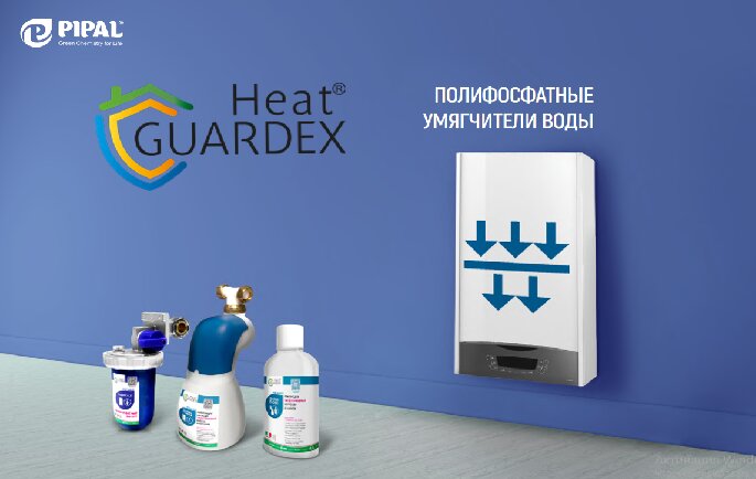 #мойвыборpipal 