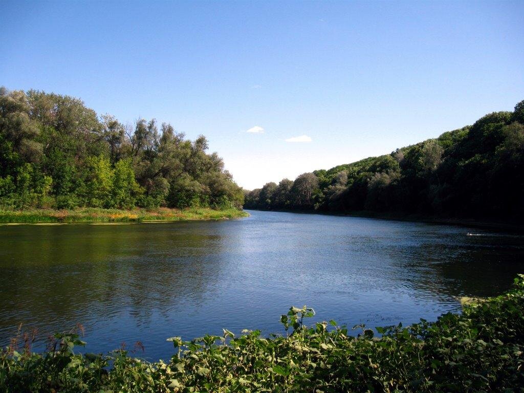 Фото из открытого источника Яндекс 