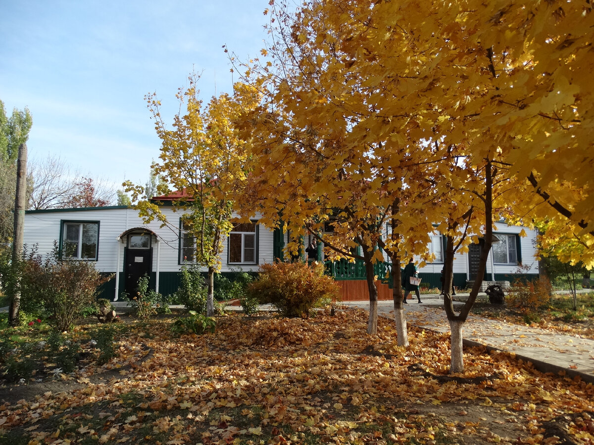 музей истории Усть-Медведицкого казачества