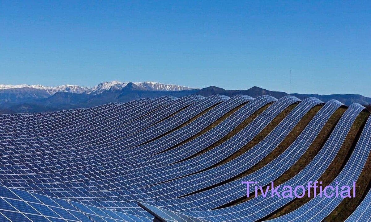 Tivkaofficial🧠