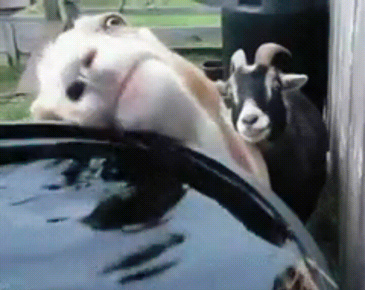 Знакомо каждому, кто хорошо отдыхал вчера )