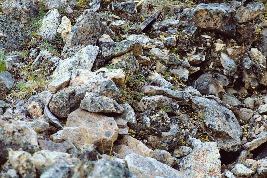 фотографии взяты с сайта bugaga.ru