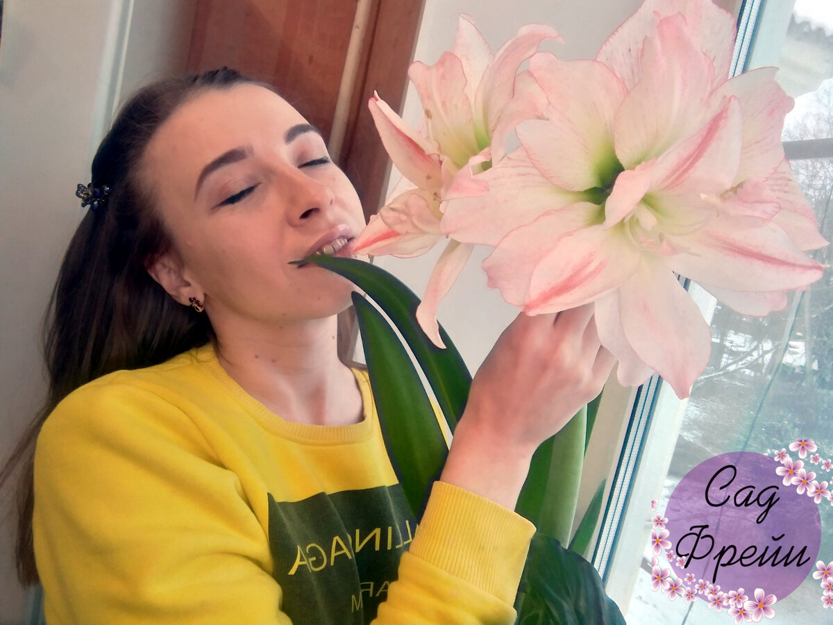 Желаю всем прекрасных цветущих подоконников! С гиппеаструмами и не только