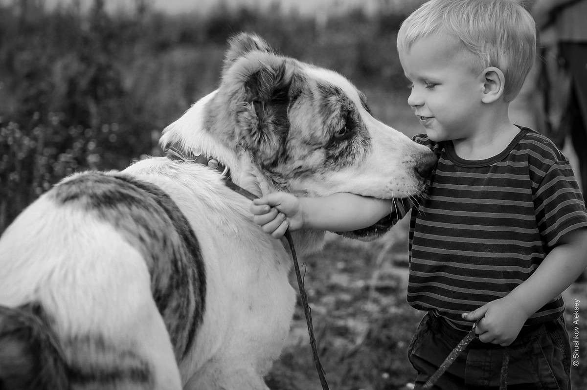 Берегите в себе человека. Изображения вызывающие доверие. Доверие в фотографиях. Человек внушающий доверие. Недоверие в дружбе.