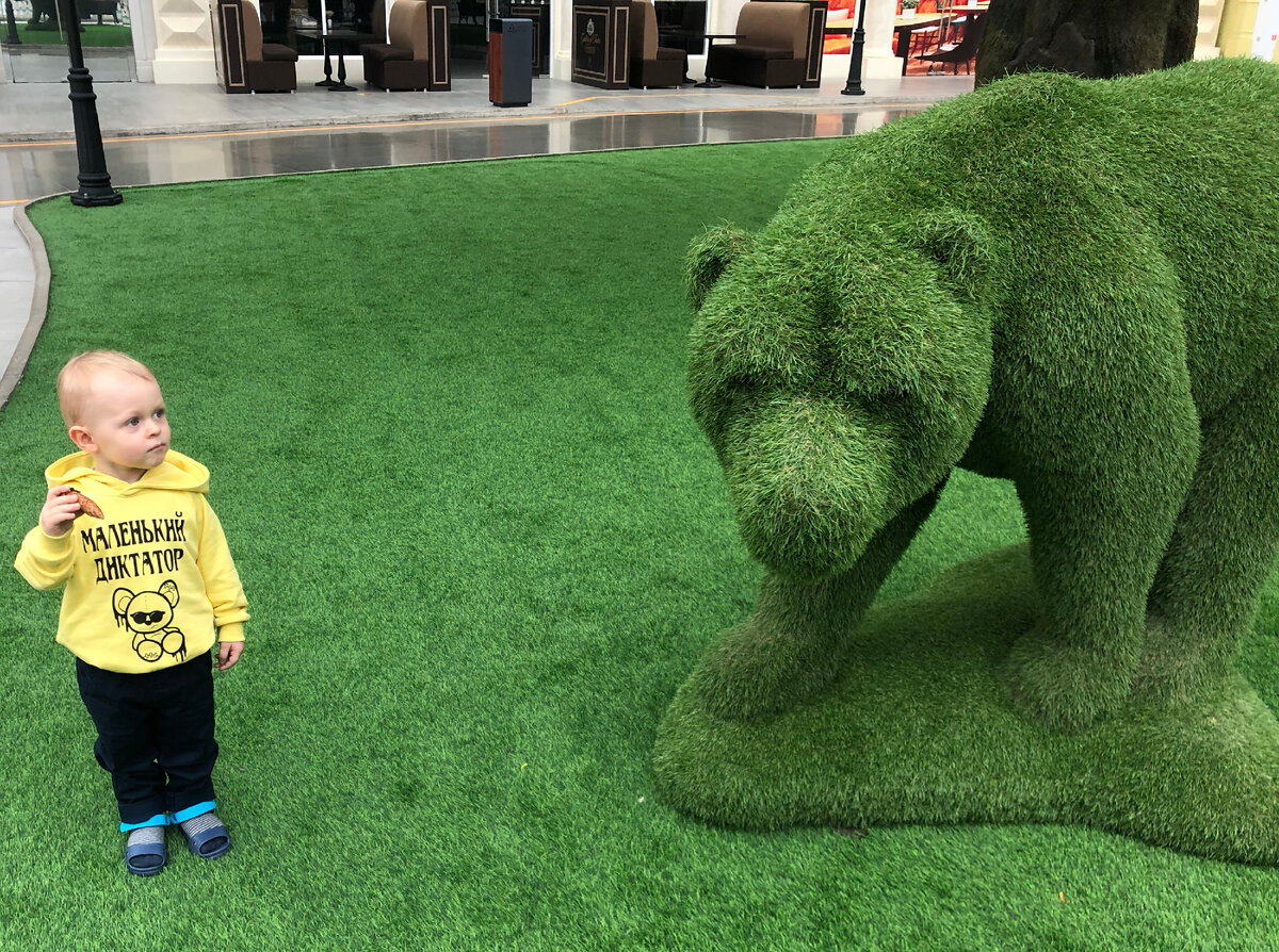 Егор дает медведю шишку