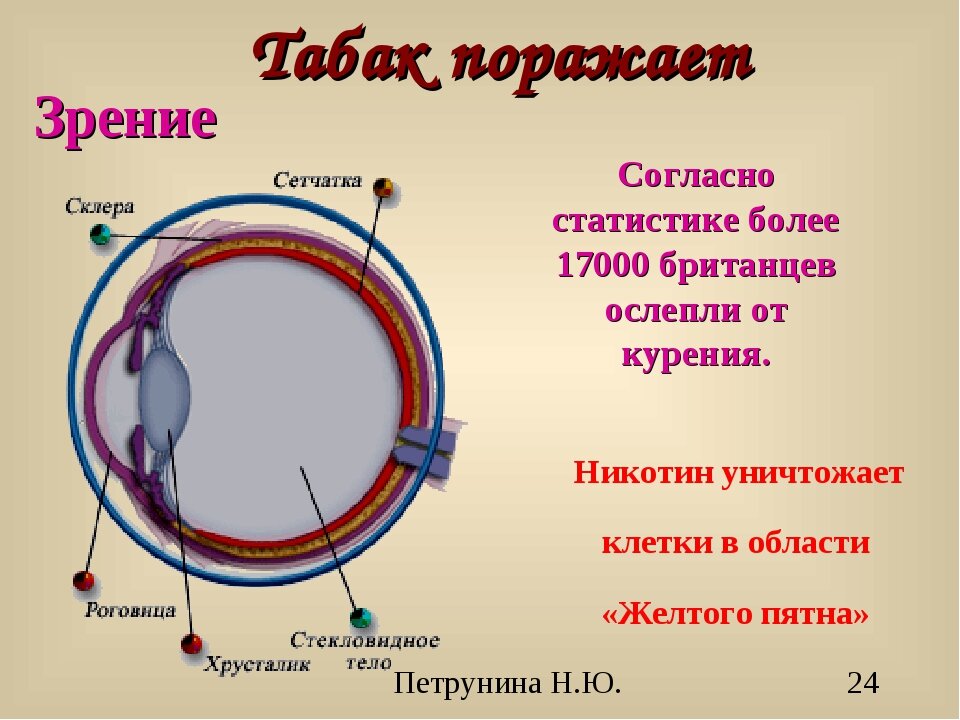 (фото с сайта https://infourok.ru/klassniy-chas-ovrede-kureniya-3203246.html)