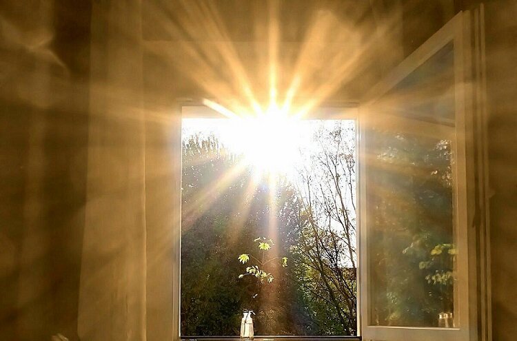 Фото взято из открытых источников