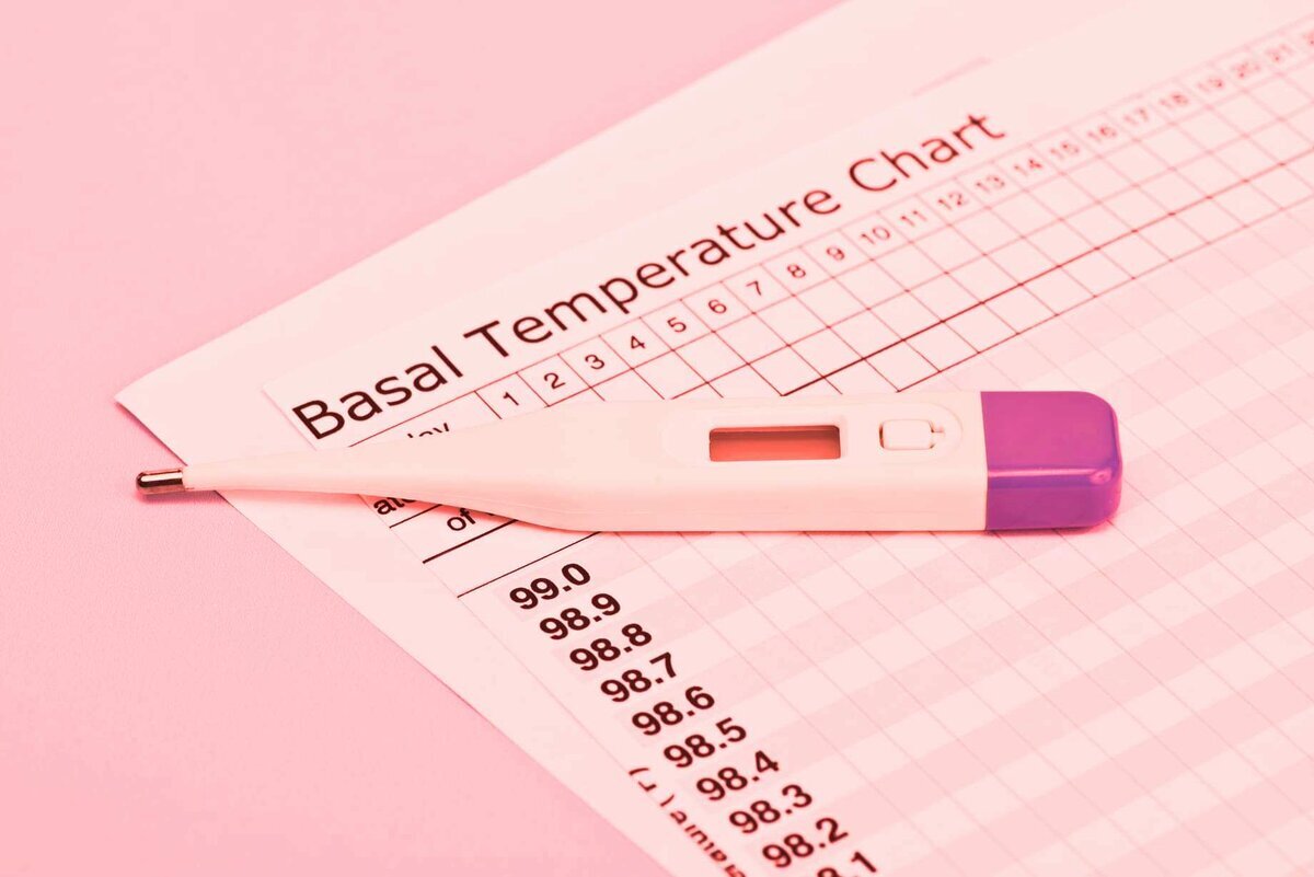 яндекс картинка